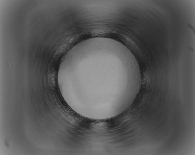 X0000101210452200807181422