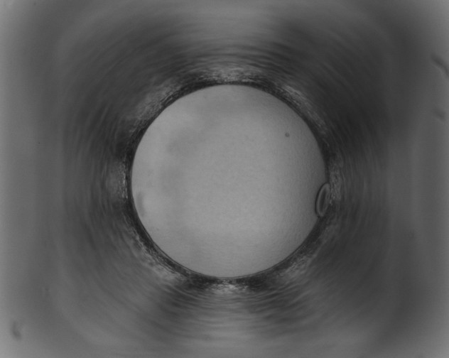 X0000101210453200807181422