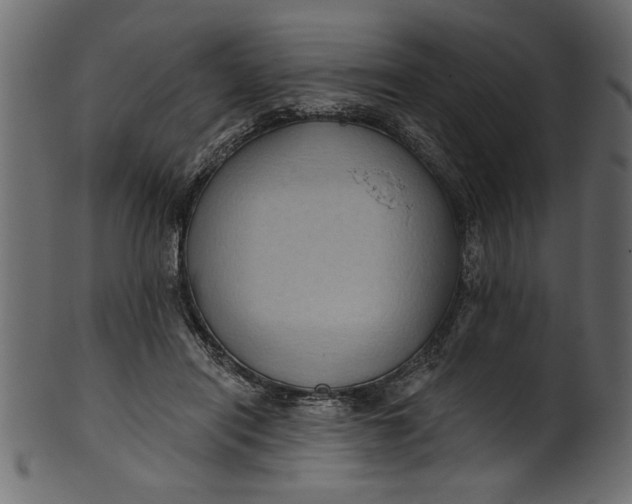 X0000101210454200807181422