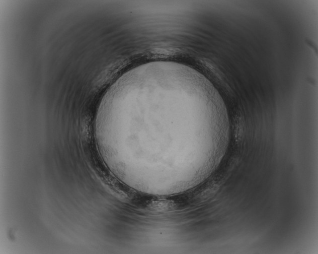 X0000101210455200807181422