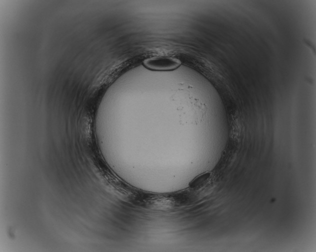 X0000101210456200807181422