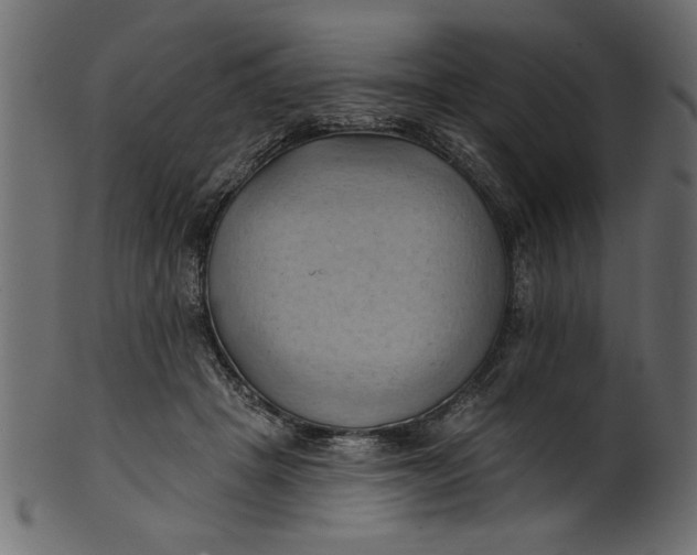 X0000101210457200807181422