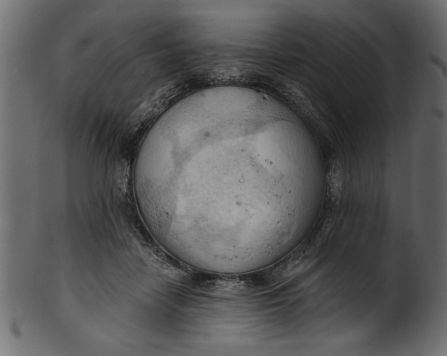 X0000101210458200807181422