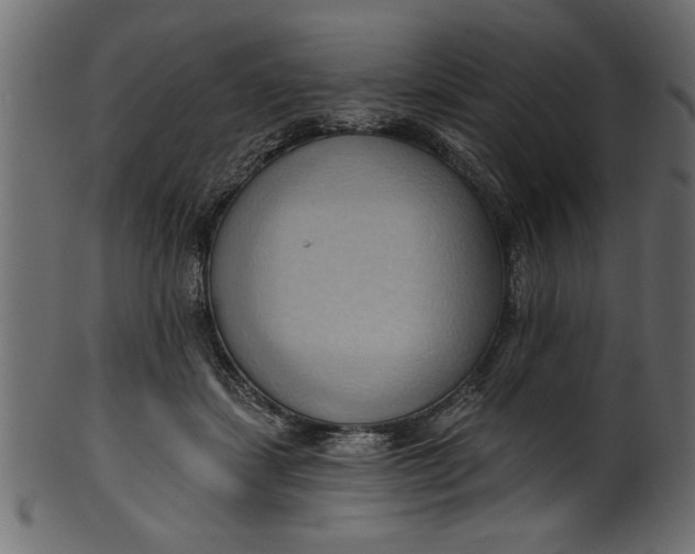 X0000101210459200807181422