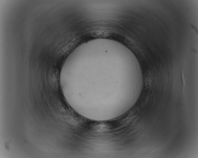 X0000101210460200807181422