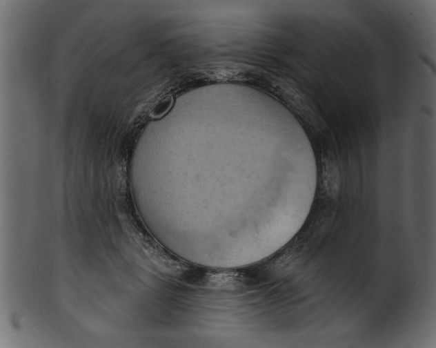 X0000101210461200807181422