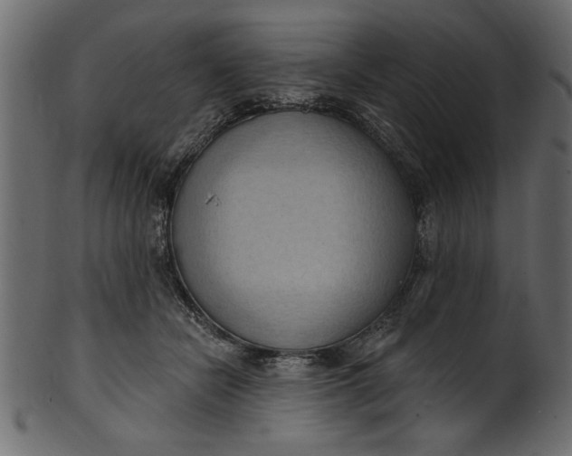 X0000101210462200807181422