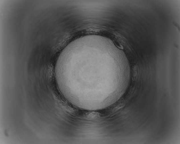 X0000101210463200807181422