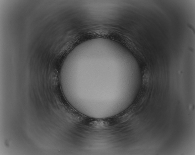 X0000101210464200807181422