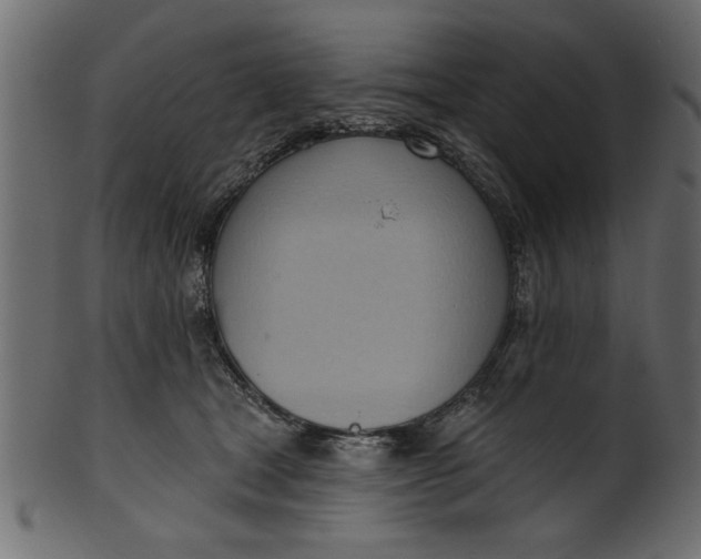 X0000101210465200807181422