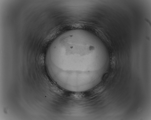 X0000101210466200807181422