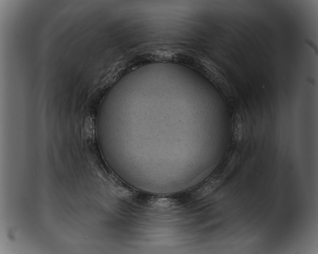 X0000101210467200807181422