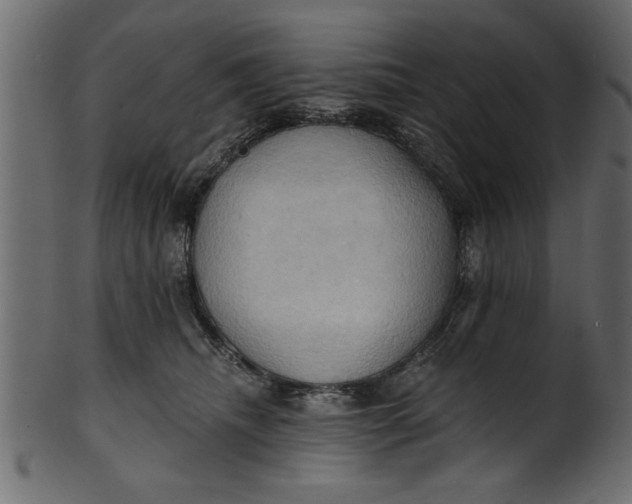 X0000101210468200807181422