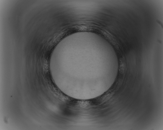 X0000101210469200807181422