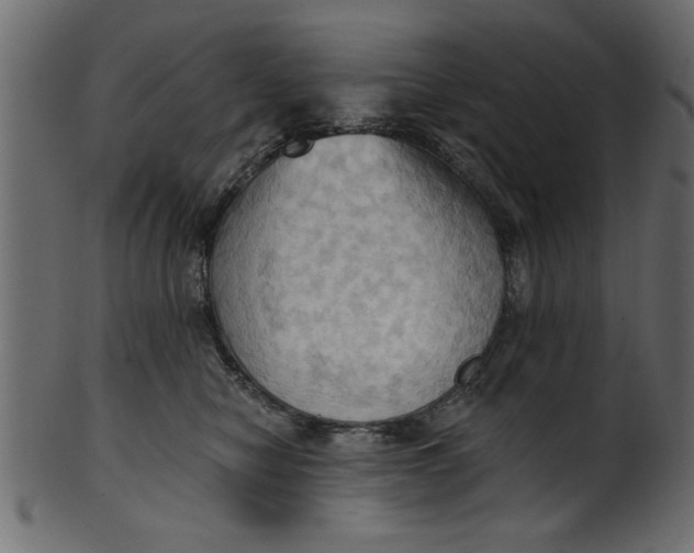 X0000101210470200807181422