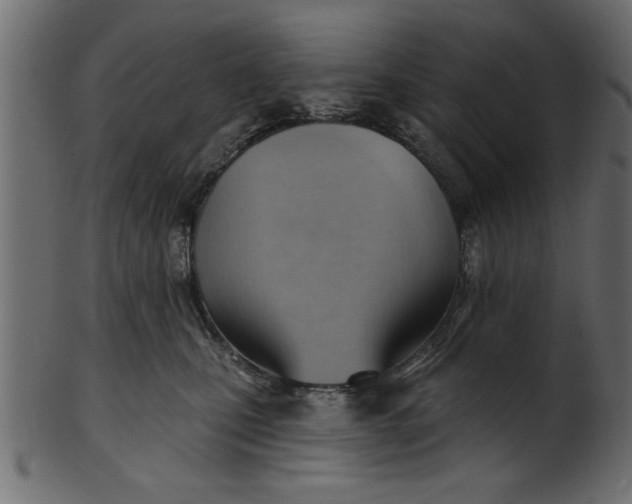 X0000101210471200807181422