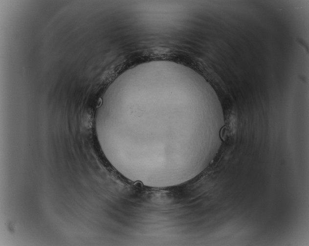 X0000101210472200807181422