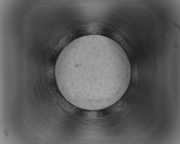 X0000101210473200807181422