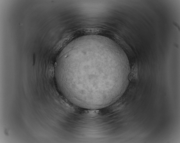 X0000101210474200807181422