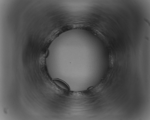 X0000101210475200807181422