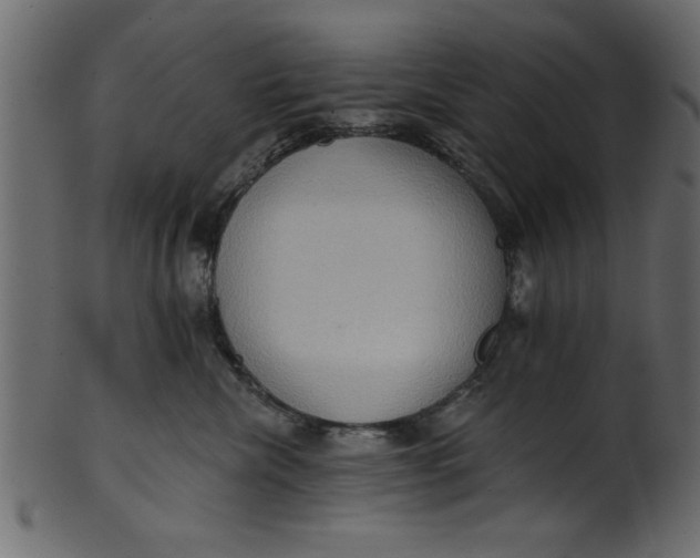 X0000101210476200807181422