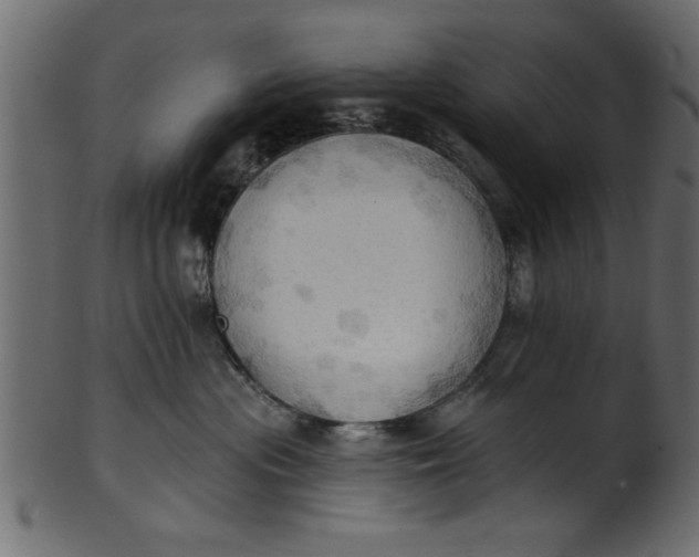 X0000101210477200807181422