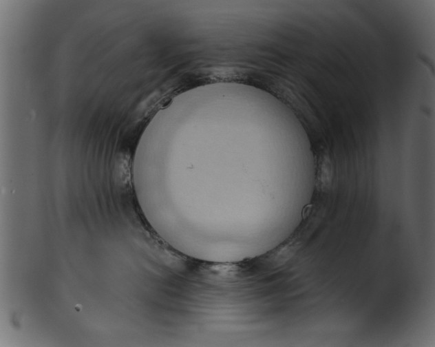 X0000101210478200807181422