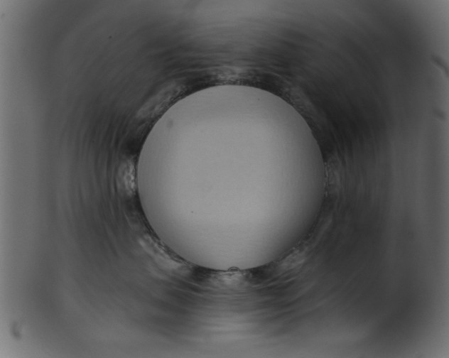 X0000101210479200807181422