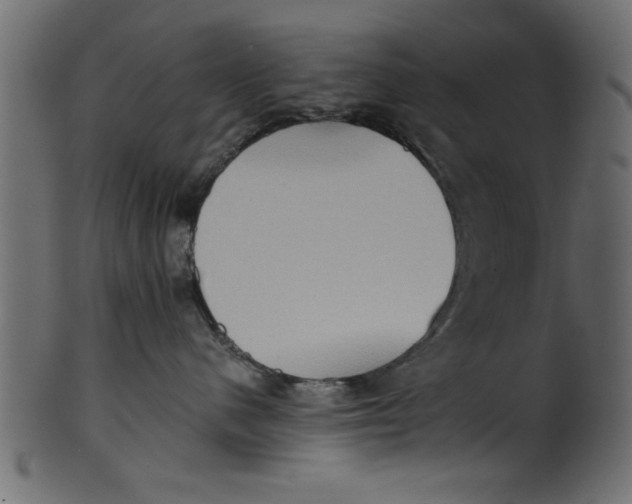 X0000101210480200807181422