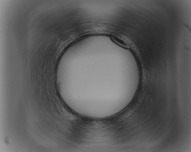 X0000101210481200807181421