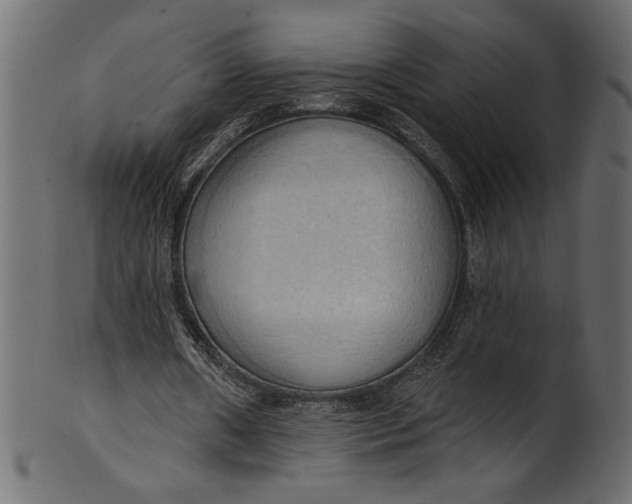 X0000101210482200807181421