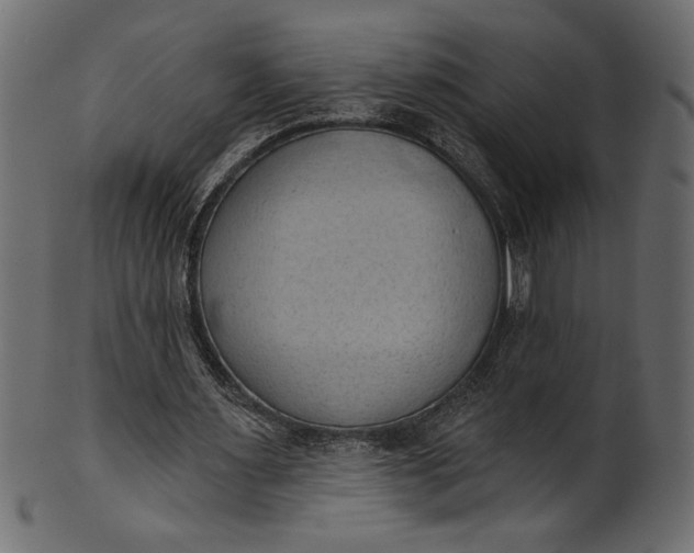 X0000101210483200807181421