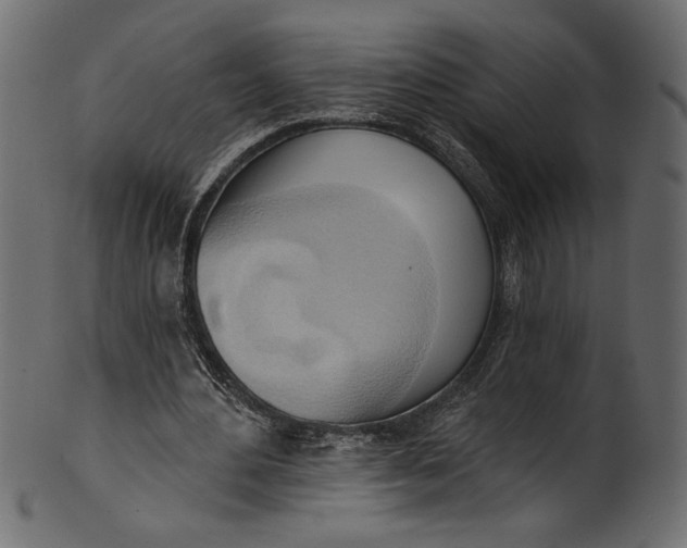 X0000101210484200807181421