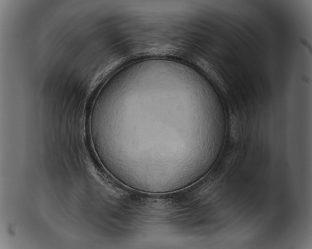 X0000101210486200807181421