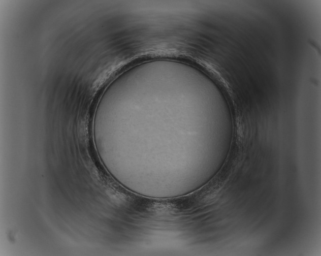 X0000101210487200807181421