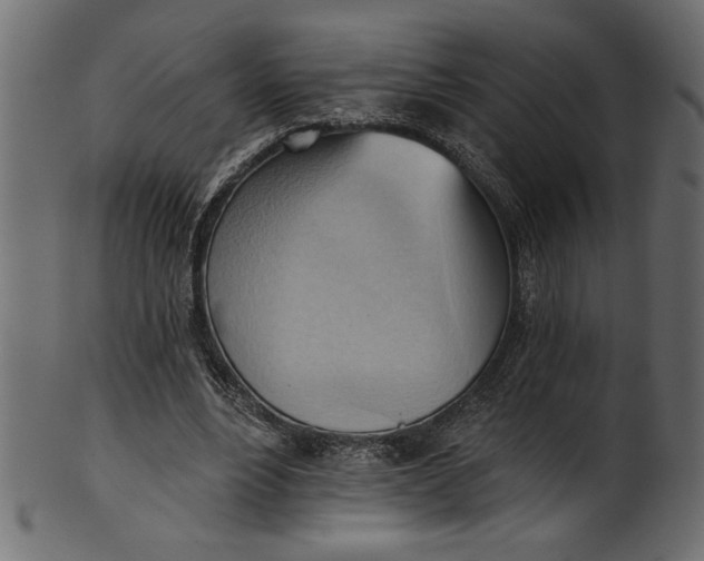 X0000101210488200807181421