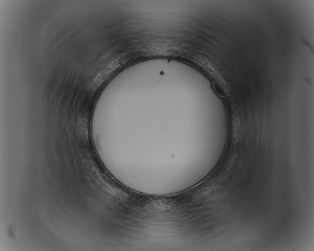 X0000101210489200807181421