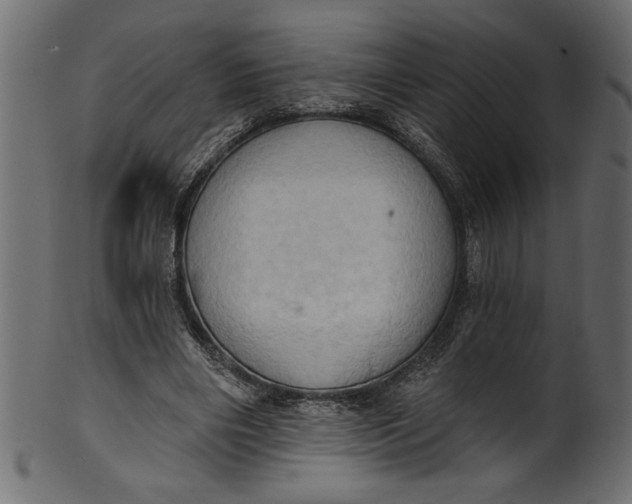 X0000101210490200807181421