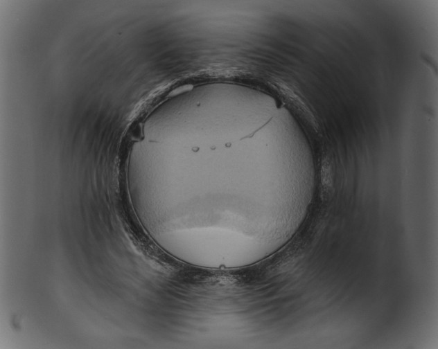 X0000101210492200807181421