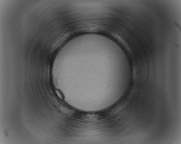 X0000101210493200807181421