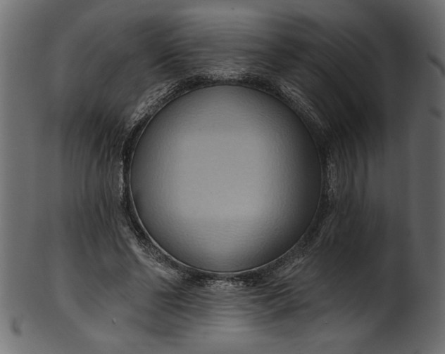 X0000101210494200807181421