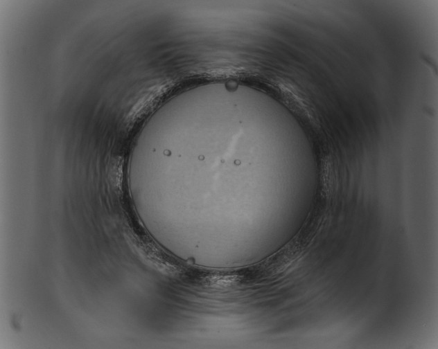 X0000101210495200807181421