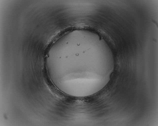 X0000101210496200807181421