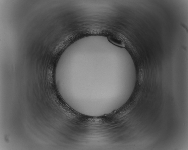 X0000101210497200807181421