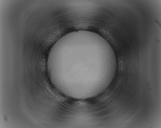 X0000101210498200807181421