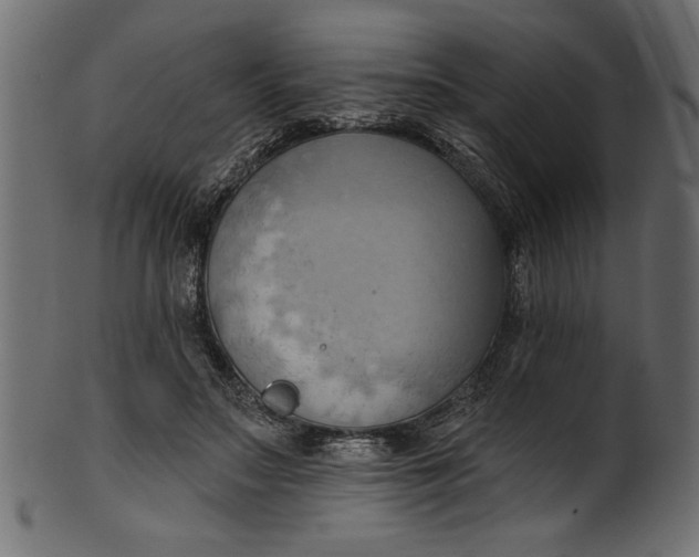 X0000101210499200807181421