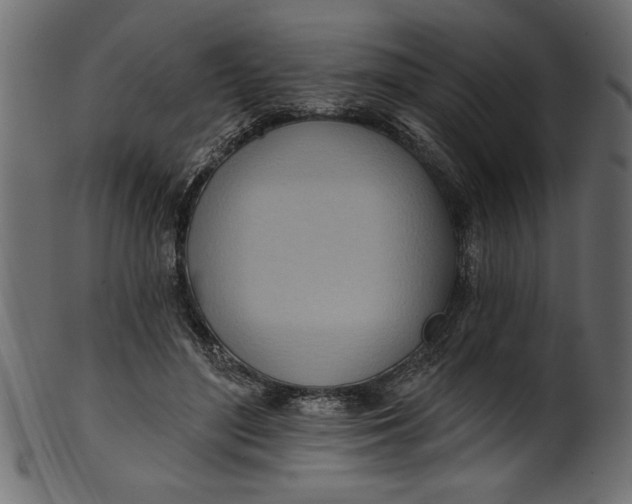 X0000101210500200807181421