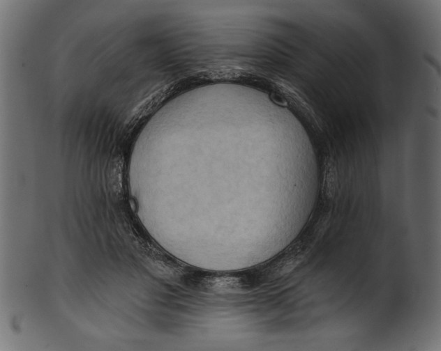 X0000101210501200807181421