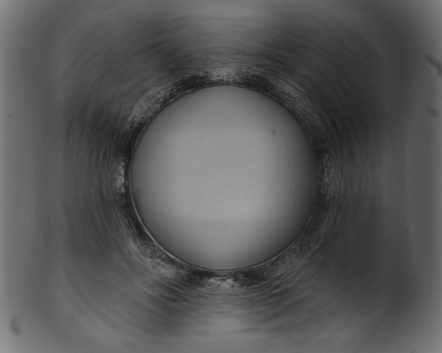 X0000101210502200807181421