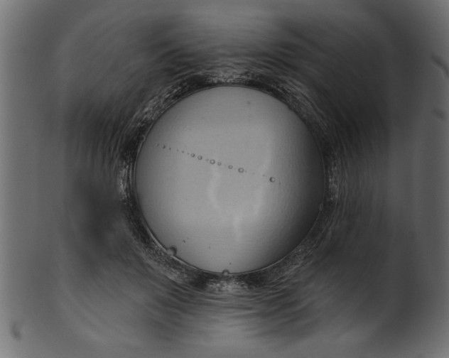 X0000101210503200807181421